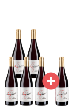 5+1 Paket Cebreros El Galayo Weinlakai Empfehlung - Weinpakete
