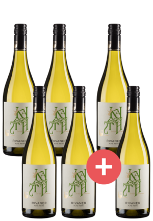 4+2 Paket Spargelwein Rivaner Alte Rebe - Weinpakete