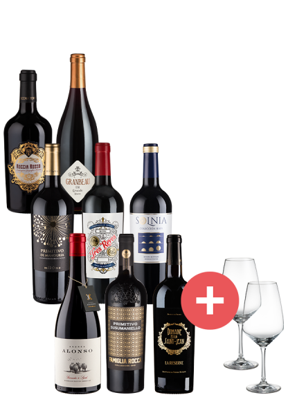 8er-Paket Weine des Jahres + GRATIS Schott-Zwiesel Gläser - Weinpakete