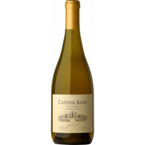 ALTA CHARDONNAY 2020 - CATENA ZAPATA