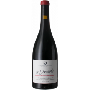 LA DEROUTANTE 2020 - DOMAINE JP ET JF QUENARD