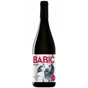 MERGA VICTA DALMATIAN DOG BABIC 2019 - TESTAMENT