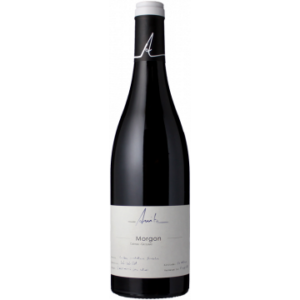 MORGON - CUVÉE CHÂTEAU-GAILLARD 2021 - DOMAINE ANITA (KUHNEL)