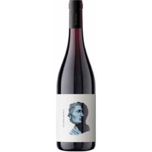 OTRE NEGROAMARO 2021 - CANTINE TEANUM