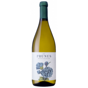 PRUNUS WHITE 2021 - GOTA WINES