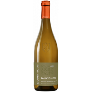 SAUVIGNON - LOIRE REBELLE 2022 - DUMNACUS VIGNERONS