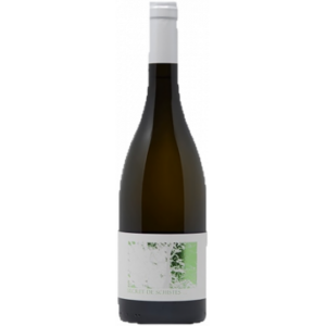 SECRET DE SCHISTES BLANC 2021 - CHATEAU DE L'OU